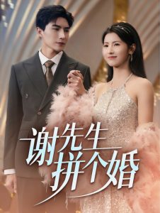 谢先生拼个婚全集