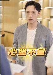心照不宣全集