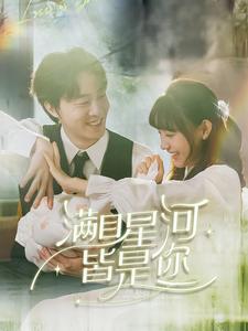 满目星河皆是你全集