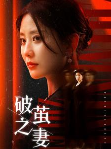 破茧之妻全集