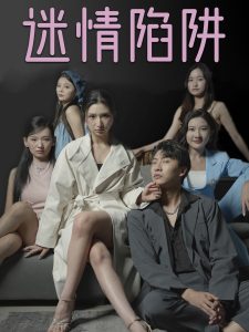 迷情陷阱全集