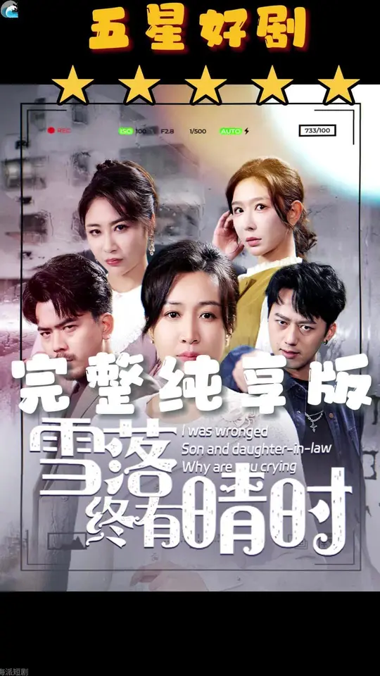 雪落终有晴时全集