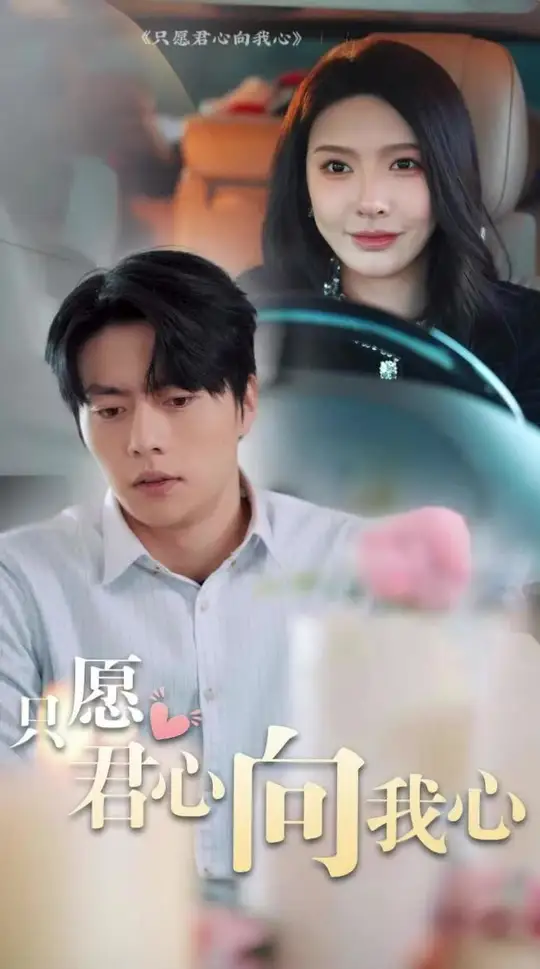只愿君心向我心全集