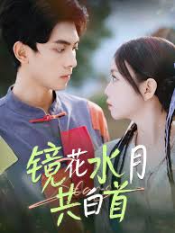镜花水月共白首全集