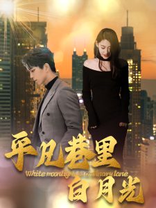 平凡巷里白月光全集