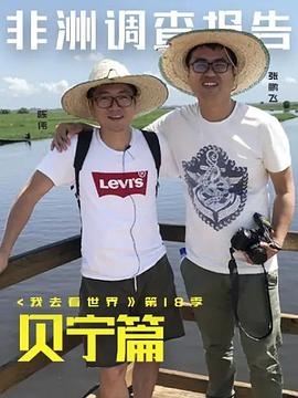 非洲调查报告：贝宁篇全集