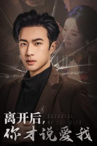 离开后你才说爱我全集