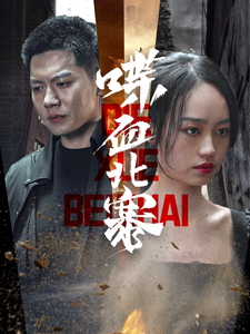 喋血北寨全集