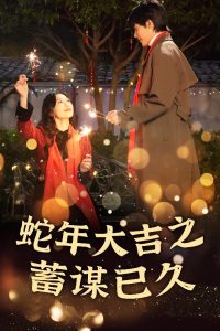 新年之假戏真做全集