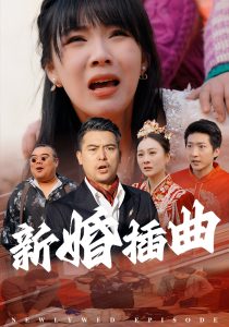 新婚插曲全集