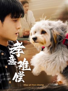 孝意难偿全集