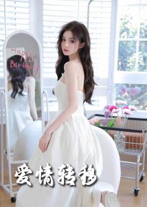 爱情转移全集