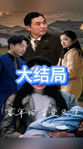 暮年回首爱又生全集