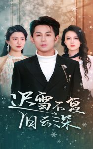 迟雪不复旧云深全集