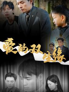 爱的双生缘全集
