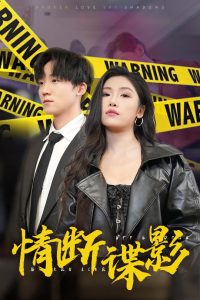 情断谍影&我的特工老婆全集