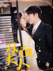 双面夫人全集