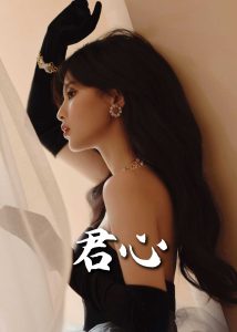 君心全集