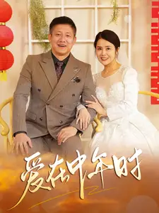 爱在中年时全集