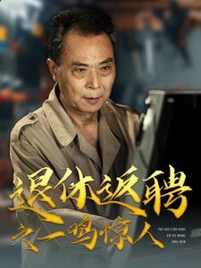 退休返聘之一鸣惊人全集