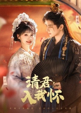 请君入我怀全集