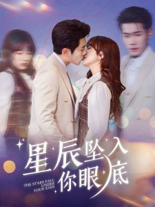 星辰坠入你眼底全集