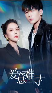 爱意难寻全集