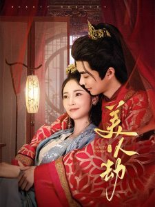 美人劫全集