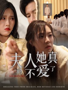 夫人她真的不爱了全集