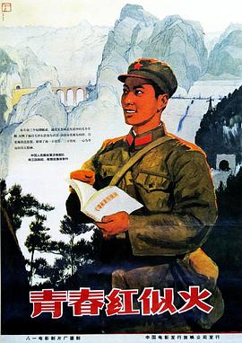 青春红似火全集