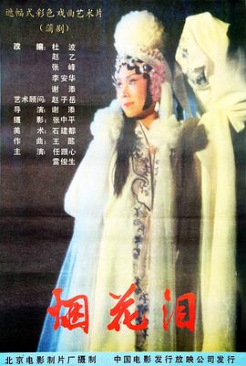 烟花泪全集